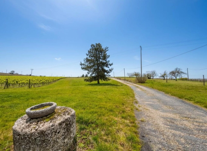 Photos 8 - Rurale - Propriété à vendre à Pellegrue
