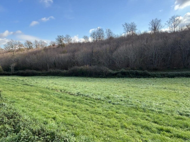 Photos 12 - Rurale - Maison de Campagne, Dépendances, Terrain et Potentiel de Gîte / Maison d'Hôtes