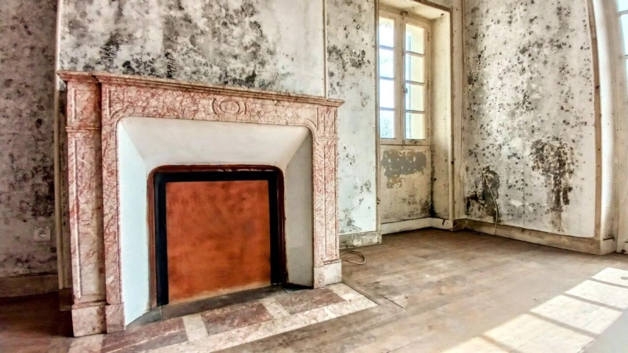 Photos 10 - Rurale - Villa Plaisance et sa dépendance, un bijou d'histoire