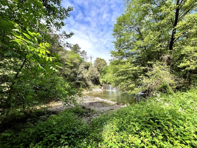 Photos 7 - Rurale - Magnifique Moulin du XVIIIe ? 1,6 Hectare de Sérénité avec Cours d'Eau