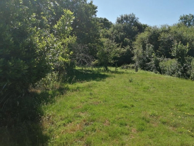 Photos 3 - Rurale - Chirac - maison avec grange, terrain et source d'eau - petite exploitation