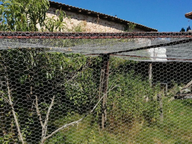 Photos 4 - Rurale - Chirac - maison avec grange, terrain et source d'eau - petite exploitation