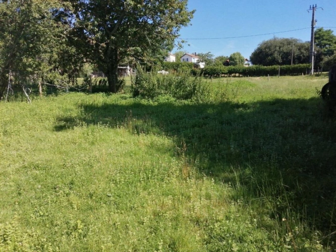 Photos 10 - Rurale - Chirac - maison avec grange, terrain et source d'eau - petite exploitation