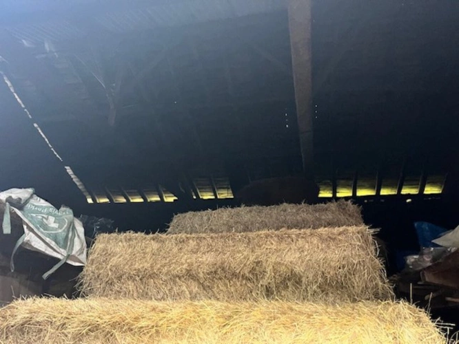 Photos 6 - Rurale - Charmante ferme en pierre avec dépendances et plus de 6 hectares de terrain - idéale pour les passionnés d'équitation