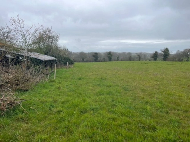Photos 9 - Rurale - Charmante ferme en pierre avec dépendances et plus de 6 hectares de terrain - idéale pour les passionnés d'équitation