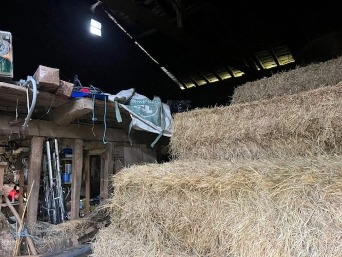 Photos 17 - Rurale - Charmante ferme en pierre avec dépendances et plus de 6 hectares de terrain - idéale pour les passionnés d'équitation