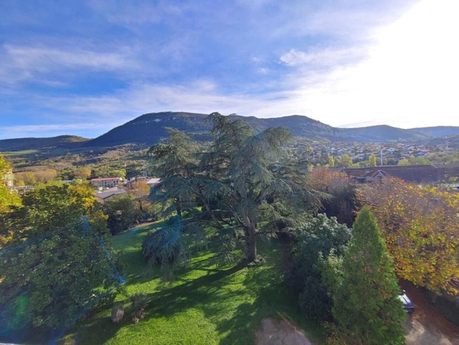 Photos 18 - Prestige - Magnifique maison de maître avec parc arboré - Millau