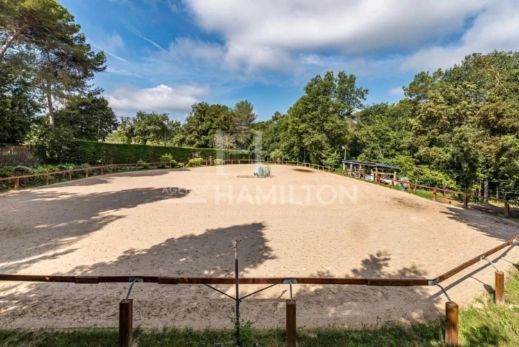 Photos 12 - Équestre - Magnifique propriété équestre avec box et annexes
