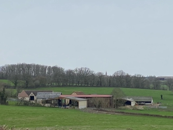 Photos 3 - Agricole - Exploitation d'élevage de 225 hectares dont 79 hectares en propriété dans le Cher