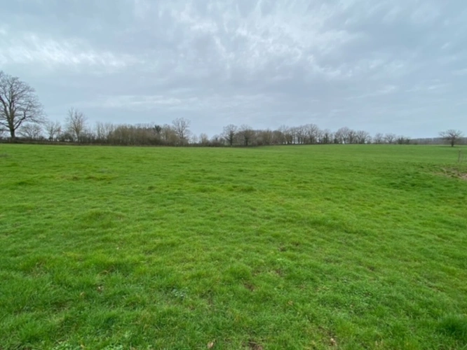 Photos 4 - Agricole - Exploitation d'élevage de 225 hectares dont 79 hectares en propriété dans le Cher