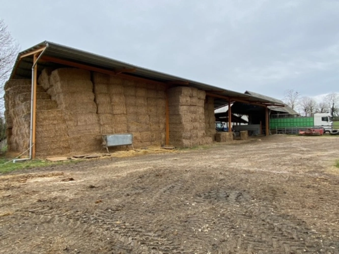 Photos 9 - Agricole - Exploitation d'élevage de 225 hectares dont 79 hectares en propriété dans le Cher