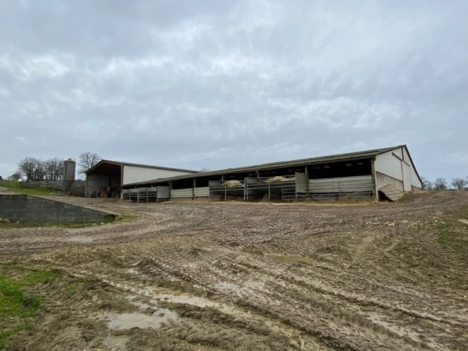 Photos 13 - Agricole - Exploitation d'élevage de 225 hectares dont 79 hectares en propriété dans le Cher