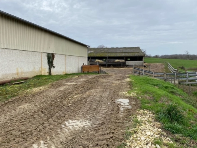 Photos 15 - Agricole - Exploitation d'élevage de 225 hectares dont 79 hectares en propriété dans le Cher
