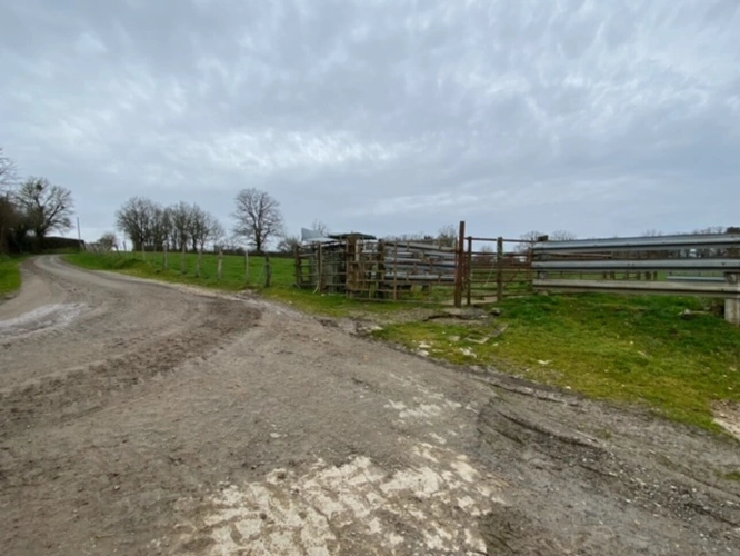 Photos 18 - Agricole - Exploitation d'élevage de 225 hectares dont 79 hectares en propriété dans le Cher