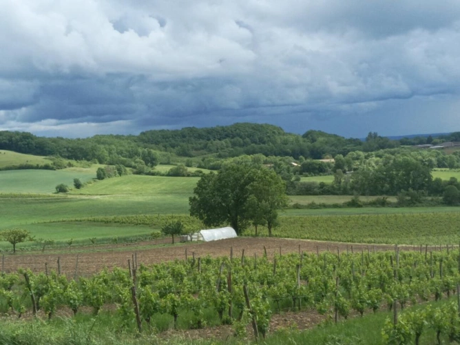 Photos 1 - Agricole - Propriété agricole Lot et Garonne  de 47 ha ainsi qu'une maison en pierre de 150 m2 à rénover