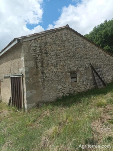 Photos 3 - Agricole - Propriété agricole Lot et Garonne  de 47 ha ainsi qu'une maison en pierre de 150 m2 à rénover