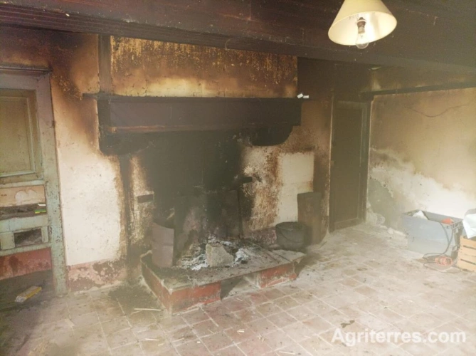 Photos 4 - Agricole - Propriété agricole Lot et Garonne  de 47 ha ainsi qu'une maison en pierre de 150 m2 à rénover