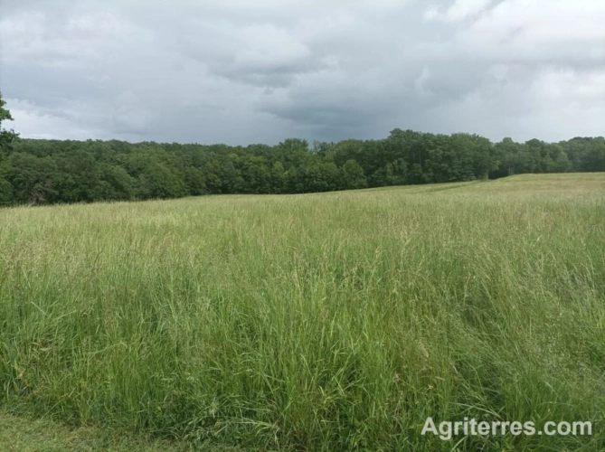 Photos 7 - Agricole - Propriété agricole Lot et Garonne  de 47 ha ainsi qu'une maison en pierre de 150 m2 à rénover