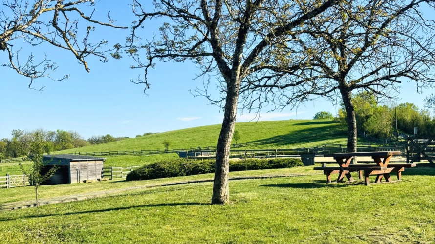 Photos 16 - Équestre - Somptueuse propriété à vocation équestre et touristique (12)