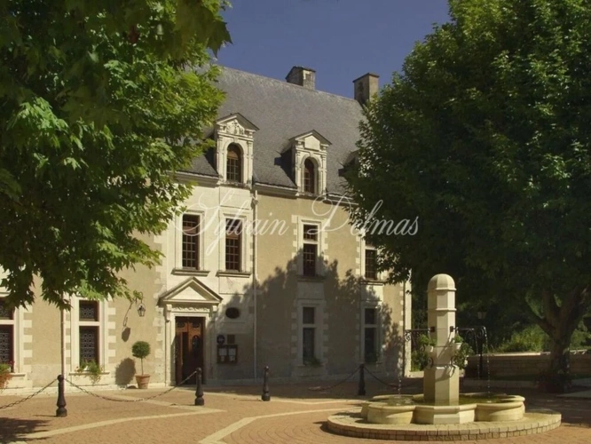 Photos 2 - Prestige - Propriete à vendre 50 pièces proche de AMBOISE (37)