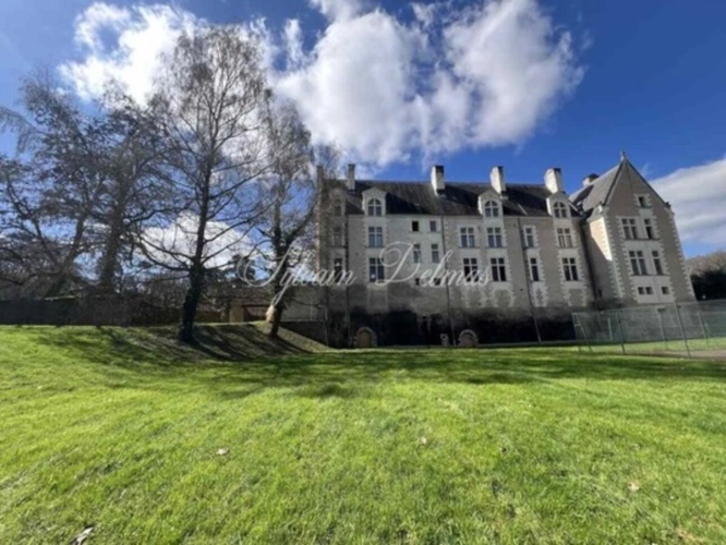 Photos 3 - Prestige - Propriete à vendre 50 pièces proche de AMBOISE (37)