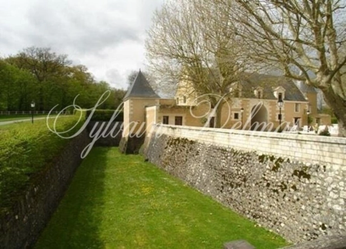 Photos 4 - Prestige - Propriete à vendre 50 pièces proche de AMBOISE (37)
