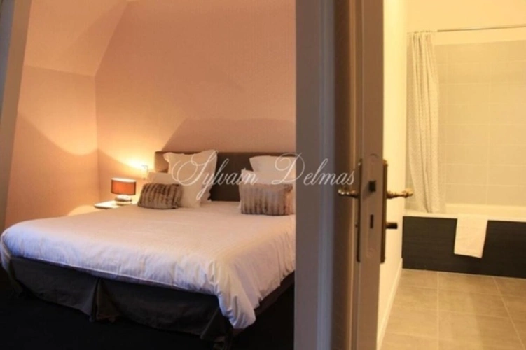 Photos 10 - Prestige - Propriete à vendre 50 pièces proche de AMBOISE (37)