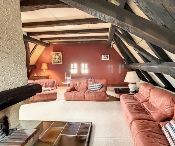 Photos 2 - Prestige - SPECIAL INVESTISSEURS : propriété à vendre 16 pièces centre ville de REININGUE (68)