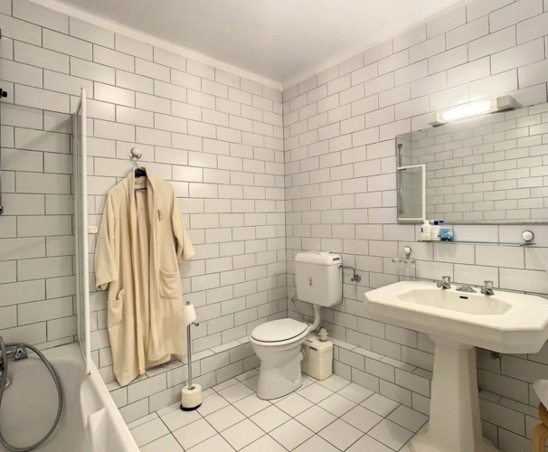 Photos 4 - Prestige - SPECIAL INVESTISSEURS : propriété à vendre 16 pièces centre ville de REININGUE (68)