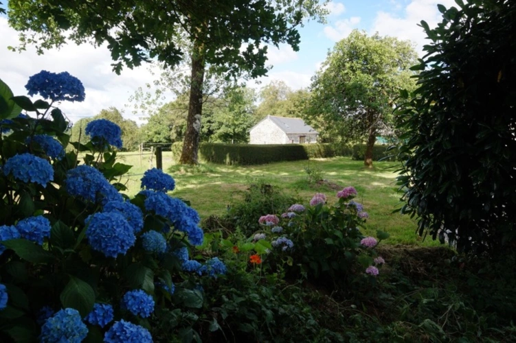 Photos 16 - Équestre - Domaine de Charme du 15ème sur 3,5 Hectare - Équestre & Projets (29 - Finistère)
