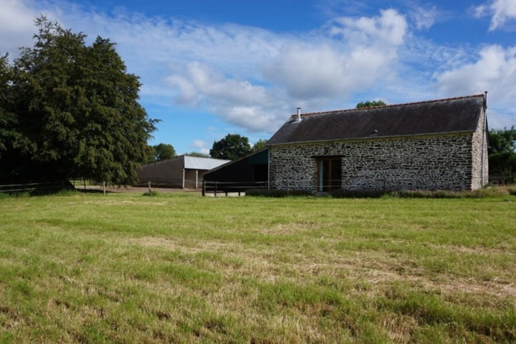 Photos 20 - Équestre - Domaine de Charme du 15ème sur 3,5 Hectare - Équestre & Projets (29 - Finistère)
