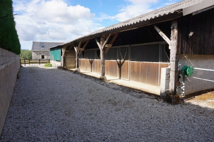 Photos 21 - Équestre - Domaine de Charme du 15ème sur 3,5 Hectare - Équestre & Projets (29 - Finistère)