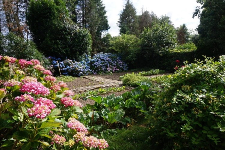 Photos 23 - Équestre - Domaine de Charme du 15ème sur 3,5 Hectare - Équestre & Projets (29 - Finistère)