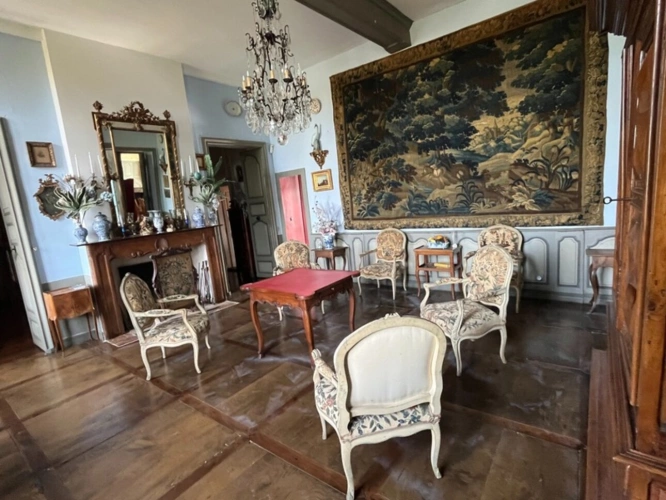 Photos 7 - Prestige - ELEGANT CHATEAU XVIIIs, sans travaux, sur 1 hectare clos de murs, jardin paysagé, chapelle, orangerie, dépendances, pour famille, evenementiel  près de Pau, Lourdes, Marciac, Tarbes
