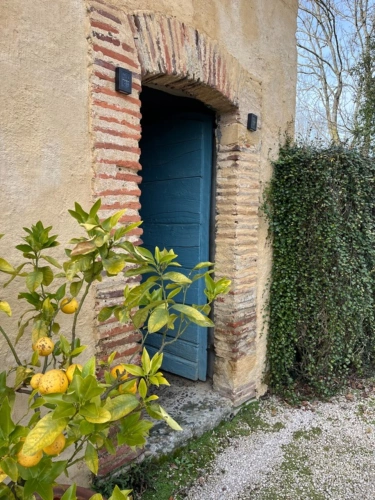 Photos 27 - Prestige - ELEGANT CHATEAU XVIIIs, sans travaux, sur 1 hectare clos de murs, jardin paysagé, chapelle, orangerie, dépendances, pour famille, evenementiel  près de Pau, Lourdes, Marciac, Tarbes