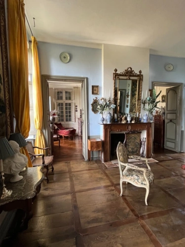 Photos 95 - Prestige - ELEGANT CHATEAU XVIIIs, sans travaux, sur 1 hectare clos de murs, jardin paysagé, chapelle, orangerie, dépendances, pour famille, evenementiel  près de Pau, Lourdes, Marciac, Tarbes