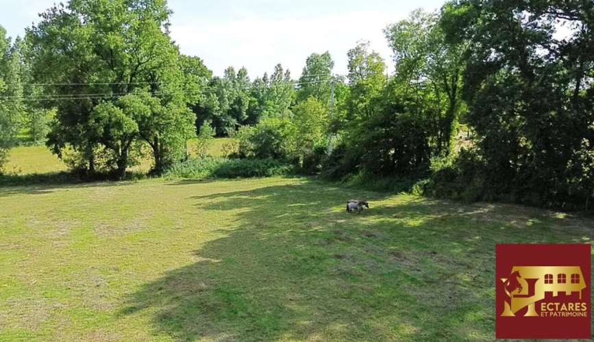 Photos 12 - Rurale - Demeure XIXe 2,8 hectares