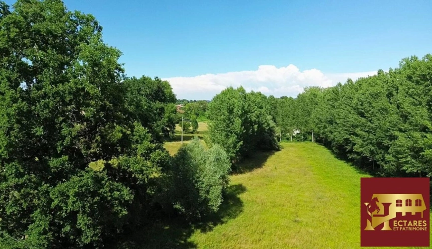 Photos 13 - Rurale - Demeure XIXe 2,8 hectares