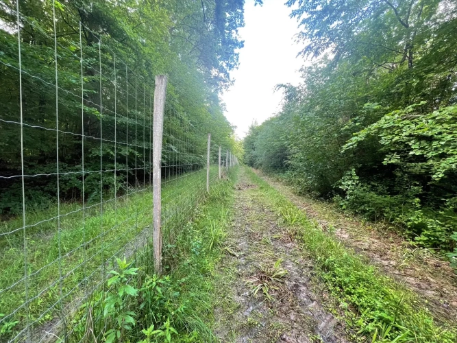 Photos 1 - Forestière - Propriété forestière de 20 ha en Haute-Saône