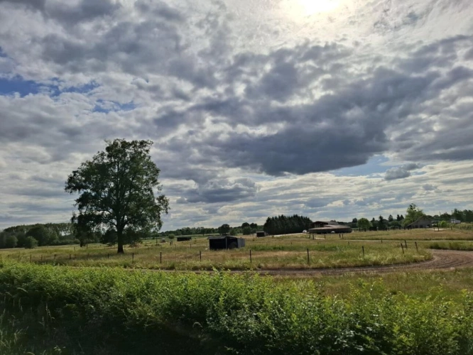 Photos 1 - Équestre - Propriété équestre de caractère sur plus de 5 hectares - S