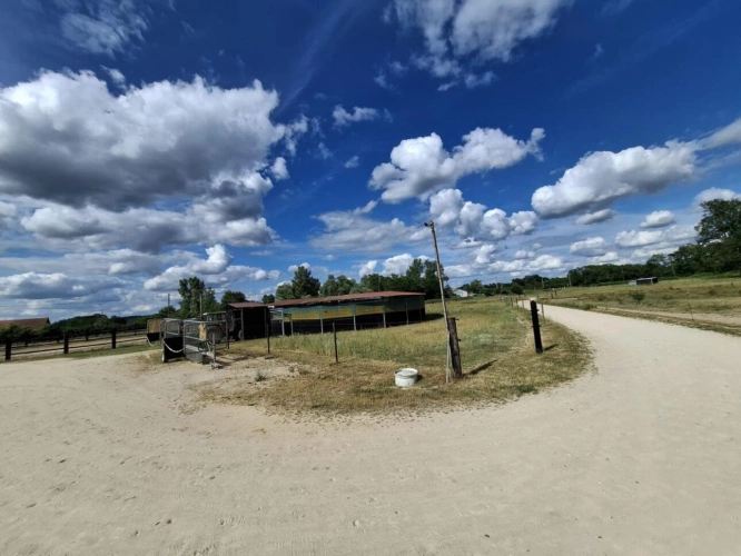Photos 2 - Équestre - Propriété équestre de caractère sur plus de 5 hectares - S