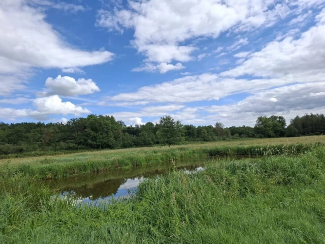 Photos 3 - Équestre - Propriété équestre de caractère sur plus de 5 hectares - S