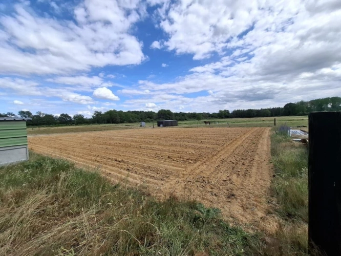 Photos 4 - Équestre - Propriété équestre de caractère sur plus de 5 hectares - S