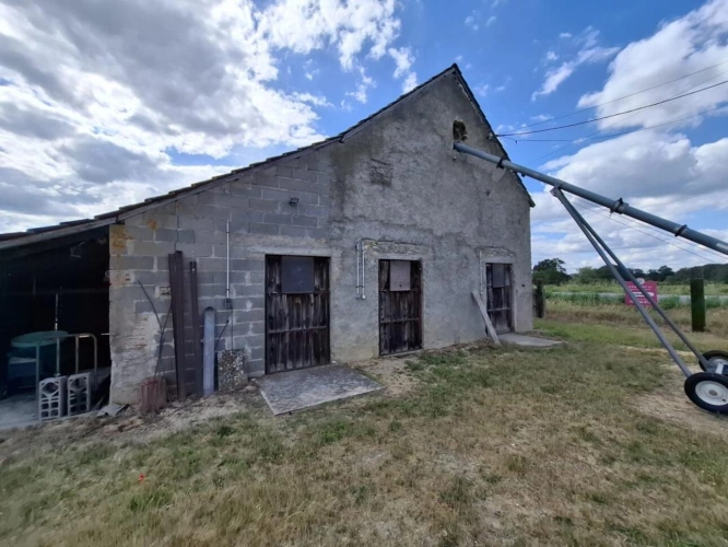 Photos 7 - Équestre - Propriété équestre de caractère sur plus de 5 hectares - S