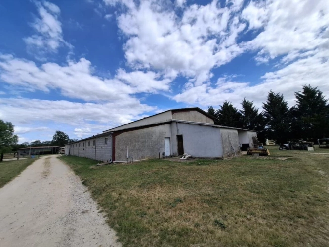 Photos 9 - Équestre - Propriété équestre de caractère sur plus de 5 hectares - S