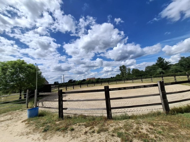 Photos 15 - Équestre - Propriété équestre de caractère sur plus de 5 hectares - S