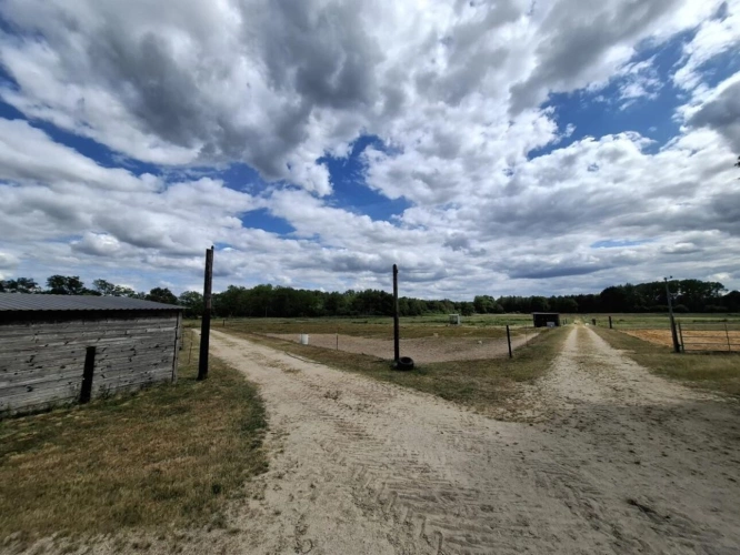 Photos 16 - Équestre - Propriété équestre de caractère sur plus de 5 hectares - S