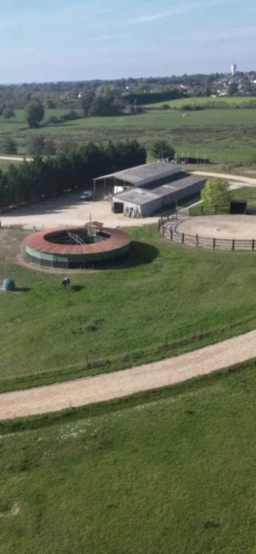 Photos 19 - Équestre - Propriété équestre de caractère sur plus de 5 hectares - S