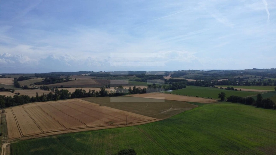 Photos 2 - Agricole - Terrain agricole