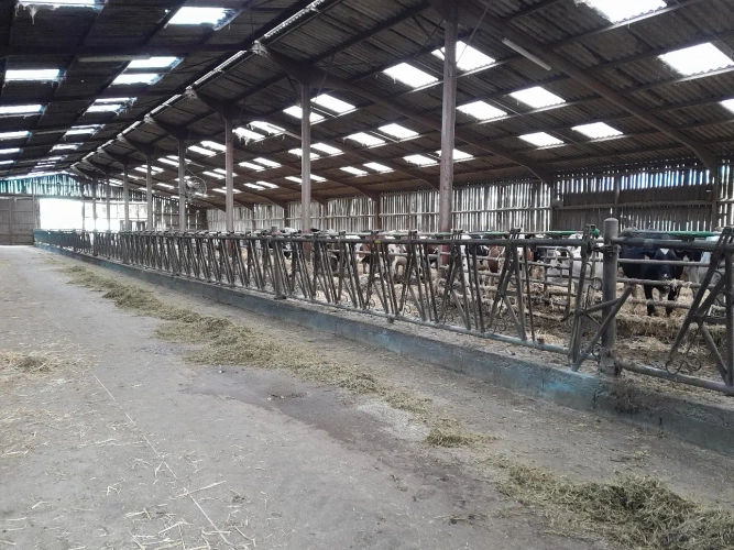 Photos 2 - Agricole - EXPLOITATION LAITIERE BIO A TRANSMETTE      HAUTE SAONE